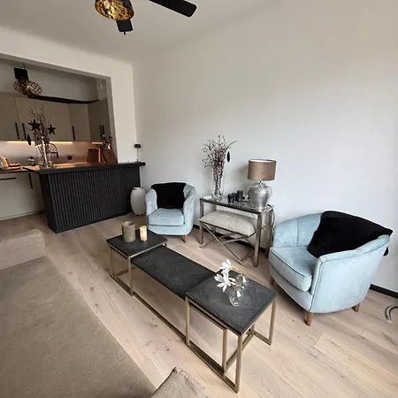 Luxury, Newly Renovated, 2-room Apartment, Banana * Cannes
