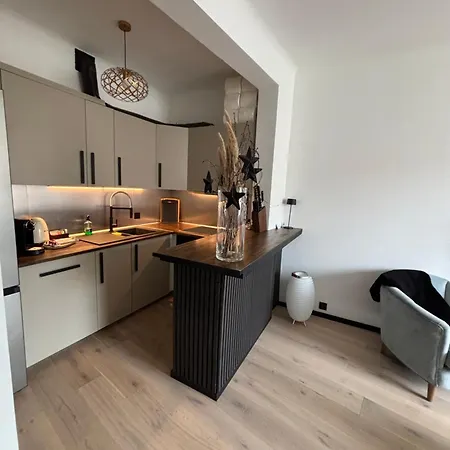 Luxury, Newly Renovated, 2-room Apartment, Banana Apartment *