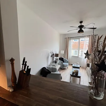 Luxury, Newly Renovated, 2-room Apartment, Banana Cannes
