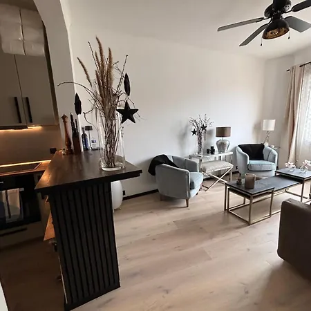 Luxury, Newly Renovated, 2-room Apartment, Banana * Cannes